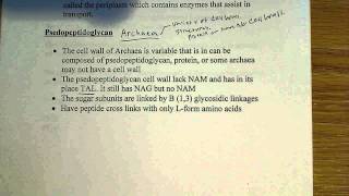 Psedopeptidoglycan structure [upl. by Nath208]