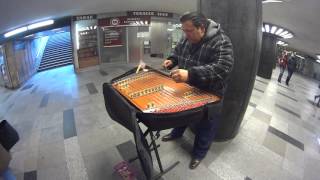 Street musician In Budapest [upl. by Daniala]