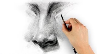 How to Draw a Nose  Step by Step [upl. by Odlopoel]