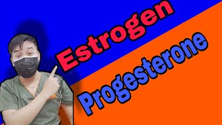 ESTROGEN VERSUS PROGESTERONE  Functions and Effects [upl. by Ileek]