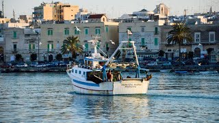 Casa SantOrsola Appartamento nella città antica Molfetta Italy [upl. by Xenos]