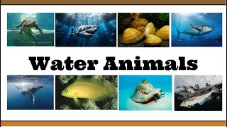 20 Water Animals Name in English  Sea Animals  Water Animals [upl. by Sev]