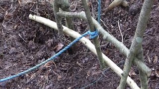 Standard Beaver Snare Setup [upl. by Jacenta]