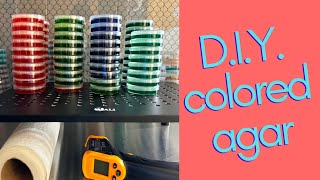 How to make colored agar DIY [upl. by Nil]