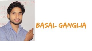 Basal Ganglia in Hindi [upl. by Ruttger906]