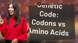 How many codons equals 1 amino acid [upl. by Acirfa]