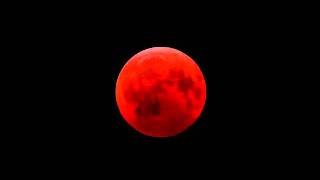 Lunar Eclipse 2011 Amazing Next Lunar Eclipse Video Will turn moon BLOOD RED like this [upl. by Nirrac993]