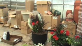 How To Plant A Patio Pot Container Garden Schaefer Flowers amp Garden [upl. by Wilie613]