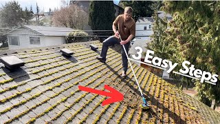 How to Clean and Get Rid of Roof Moss For GOOD [upl. by Francklin798]