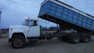 1974 IHC Loadstar 1800 TA Grain truck 24 with hoist [upl. by Nosidam719]