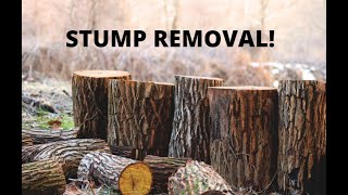 How To Remove A Stump Without Heavy Expensive Equipment Ep 4 [upl. by Sabu657]