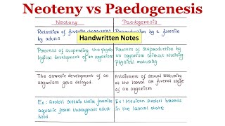 Neoteny Vs Paedogenesis  Handwritten notes [upl. by Eimar]