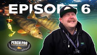 PERCH PRO 8  Episode 6 [upl. by Bevash]