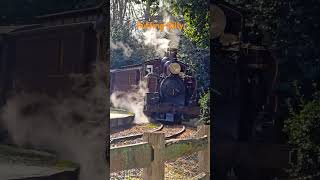 Puffing Billy [upl. by Eardna]