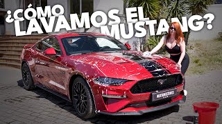 Cómo lavamos el Ford MUSTANG GT [upl. by Ahsert]