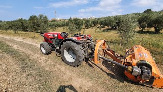 trincia argini DELEKS con massey ferguson 3655 GE e Fiat 640 DT farm tractor [upl. by Ardnek]