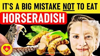 Horseradish Benefits Harm Risks Properties Recipe side effects and precautions [upl. by Mccready]