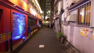 4K・ 【4K】Night walk in Yokohama Nogecho and MinatoMirai [upl. by Cain772]