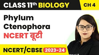 Phylum Ctenophora NCERT बूटी  Animal Kingdom  Class 11 Biology Chapter 4  NCERTCBSE [upl. by Broida]