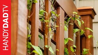 Build a DIY Trellis in a Weekend [upl. by Shanan821]