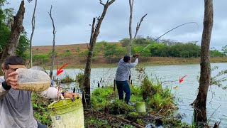 PESCA CAIPIRA essa ARMADILHA é a MELHOR pra pegar ISCA VIVA Rebentei no meio dos troncos [upl. by Ellersick]