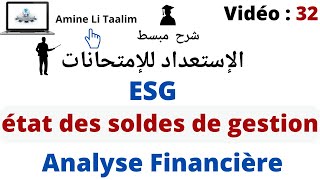 diagnostic financier Analyse  L’état des Soldes de gestion  ESG [upl. by Gretal713]