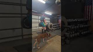 525 deficit deadlift PR  max effort day [upl. by Earl]