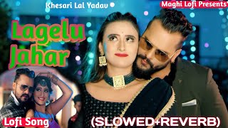 Lagelu Jahar  Khesari Lal Yadav  लागेलू जहर  New Bhojpuri SlowedReverb Lofi Remix Song viral [upl. by Mirisola]