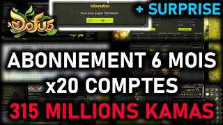 TEAM 20 COMPTES  COMBIEN COÛTE LABO   MIMIBIOTE LOTERIE   315 MILLIONS KAMAS  Gryfox DOFUS [upl. by Saberio]