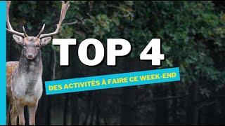 Que faire ce weekend dans la Marne lAube les Ardennes et lAisne [upl. by Reneta]