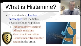 Histamine and its Actions  Quick Review [upl. by Amuh]