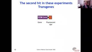 How cavernoma grow with David White Science of Cavernoma Series [upl. by Schuh306]