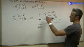 Sistema de ecuaciones matriciales BACHILLERATO matematicas [upl. by Ridinger]