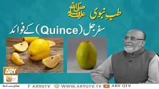 Tib e Nabvi SAWW  Benefits Of Quince  SafarJal Ke Fawaid  Hakeem Abdul Basit [upl. by Jemmie]