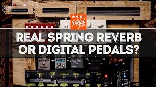 Wonderful Spring Reverb Genuine Spring Units Compared With Digital Pedals – That Pedal Show [upl. by Krum777]