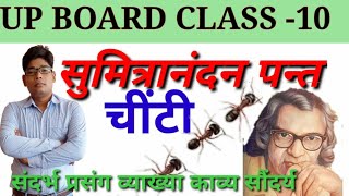 चींटीसुमित्रानंदन पन्तCheetisumitranandan pantHINDI class 10high school hindi 2021 [upl. by Betsey449]