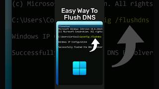 Flush DNS on Windows [upl. by Suiram]