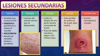 LESIONES ELEMENTALES EN DERMATOLOGÍA [upl. by Mindy]