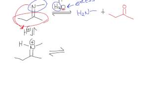 Imine Hydrolysis [upl. by Xineohp113]