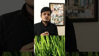 Guttationबिंदुश्रावण trending viralvideo viralshort agriculture biology upcollege education [upl. by Ellehsar]