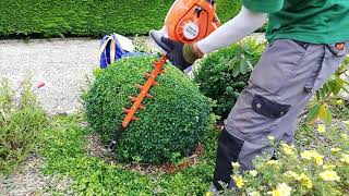 Trimming Shrubs With The STIHL HS 56 Hedge Trimmer [upl. by Almeida]