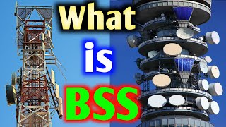 what is BSS  full form of BSS  BSS kya hai  meaning of BSS  BSS  BSS stand for  fulltell [upl. by Reivad592]