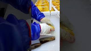 seafoodprocessing food fishfactory fishing fishprocessing [upl. by Cornelius]