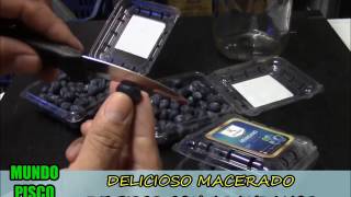 COMO PREPARAR MACERADO DE PISCO CON ARANDANOS BLUE BERRY  DIOMEDES ARANGO [upl. by Adnorahs]