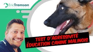 Comment devenir un bon éducateur canin comportementaliste avec une formation [upl. by Enilasor]