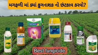 Best fungicide in Groundnut 🥜🚀 મગફળી માં ક્યાં ફુગનાશક નો છંટકાવ કરવો જોઈએ 🤔 [upl. by Cordelia]