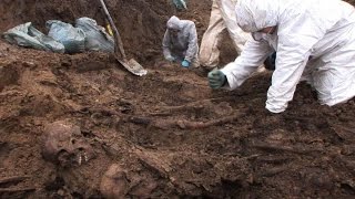 Thousands of bodies victims of the Nazis discovered in Poland [upl. by Ydassac]