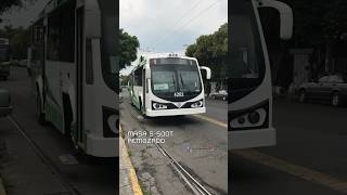 Trolebús CDMX  MASA S500T  4202 “El Remozado” [upl. by Yonita]