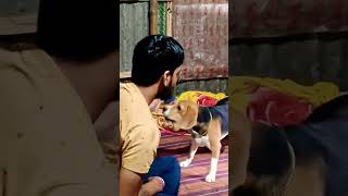 Rambo my kamphu techar 🤣🤣 shorts bregaldogfunney funnyvideo [upl. by Thornton603]