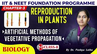 7 Artificial Methods Of Vegetative Propagation  Reproduction In Plants  Class8  Biology  Edu [upl. by Elata361]